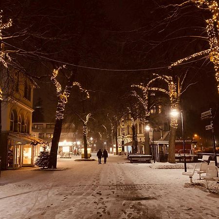 Duke-Fewo In Der Villa Radau An Der Bummelallee Bad Harzburg Zewnętrze zdjęcie